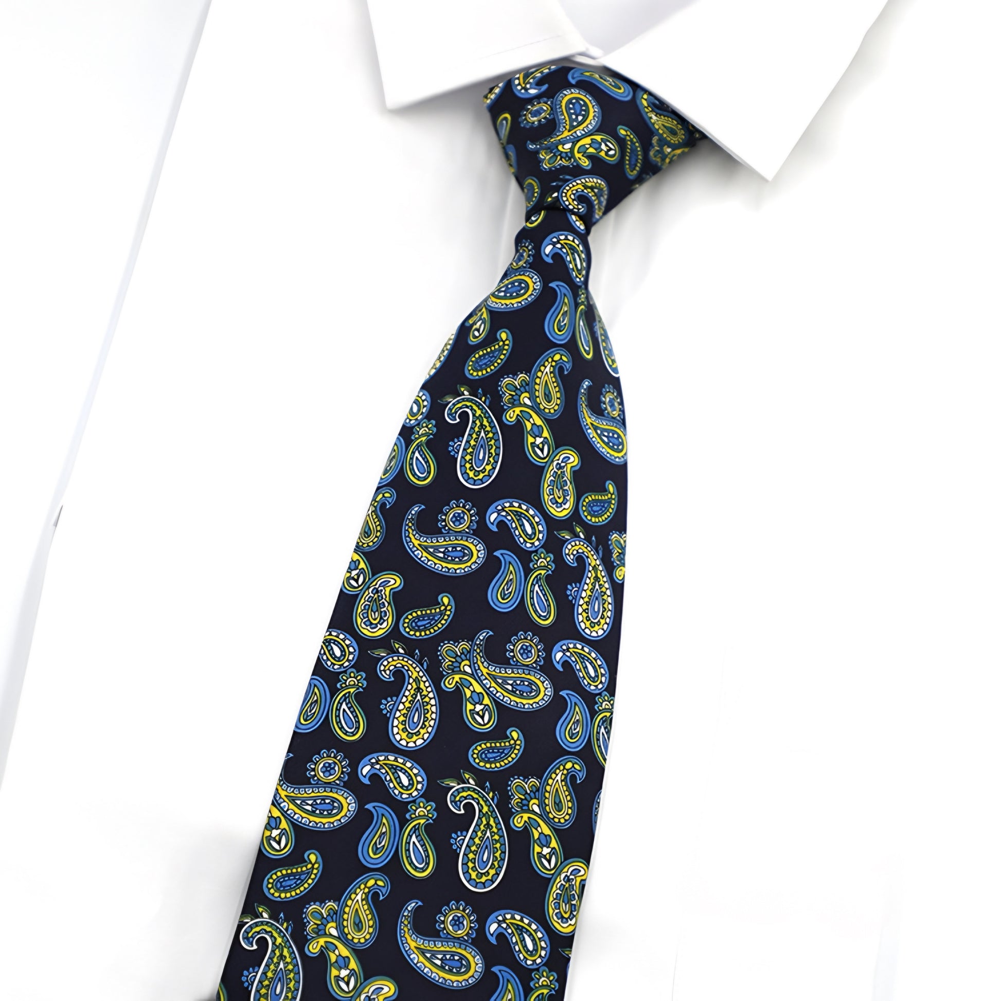 Paisley Pattern Tie